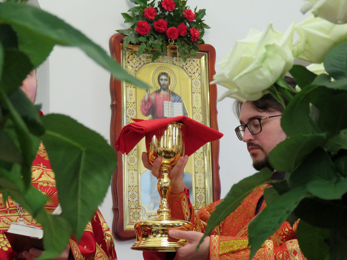 Храм святителя Луки в новом свете